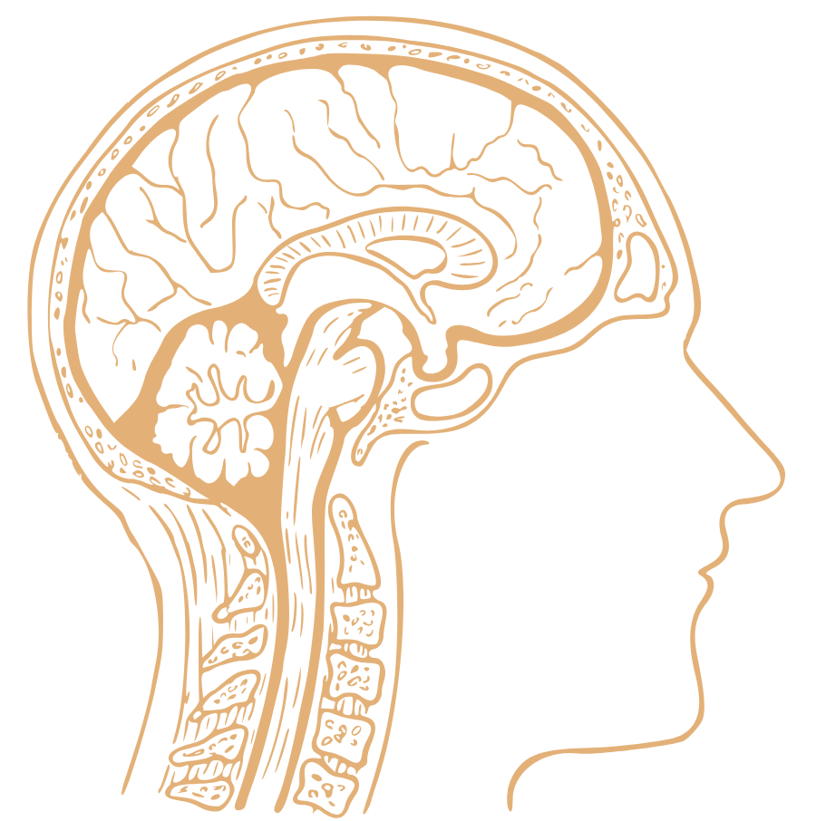 Brain surgery
