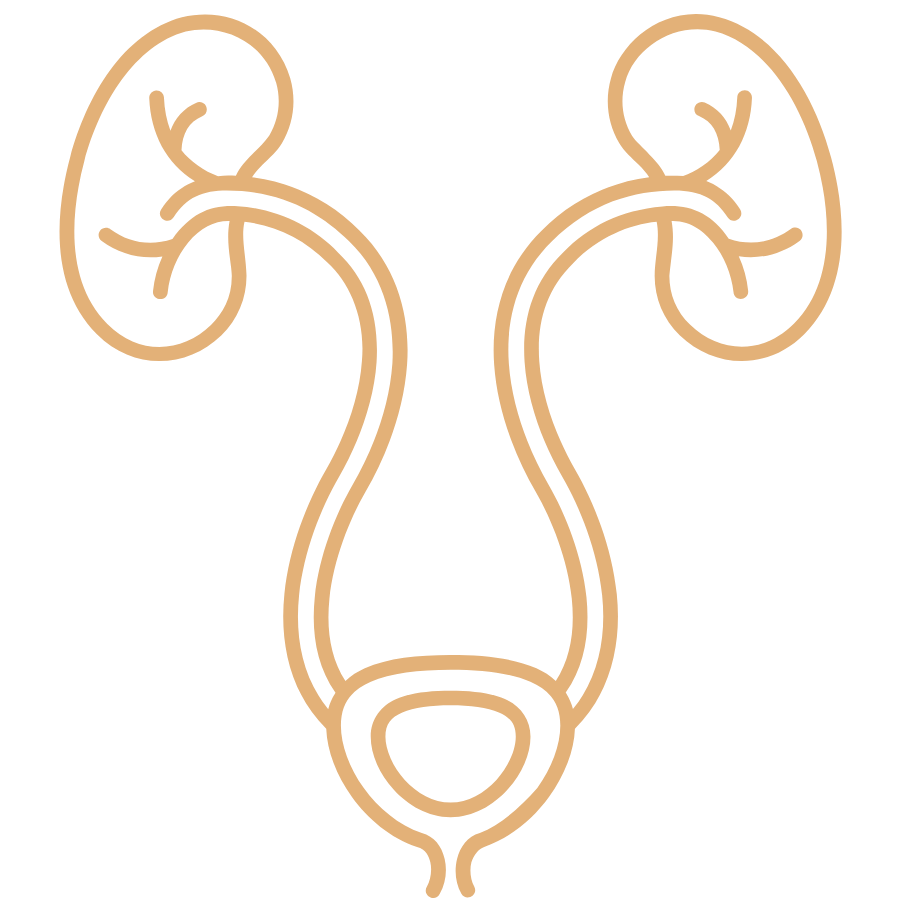 Urology