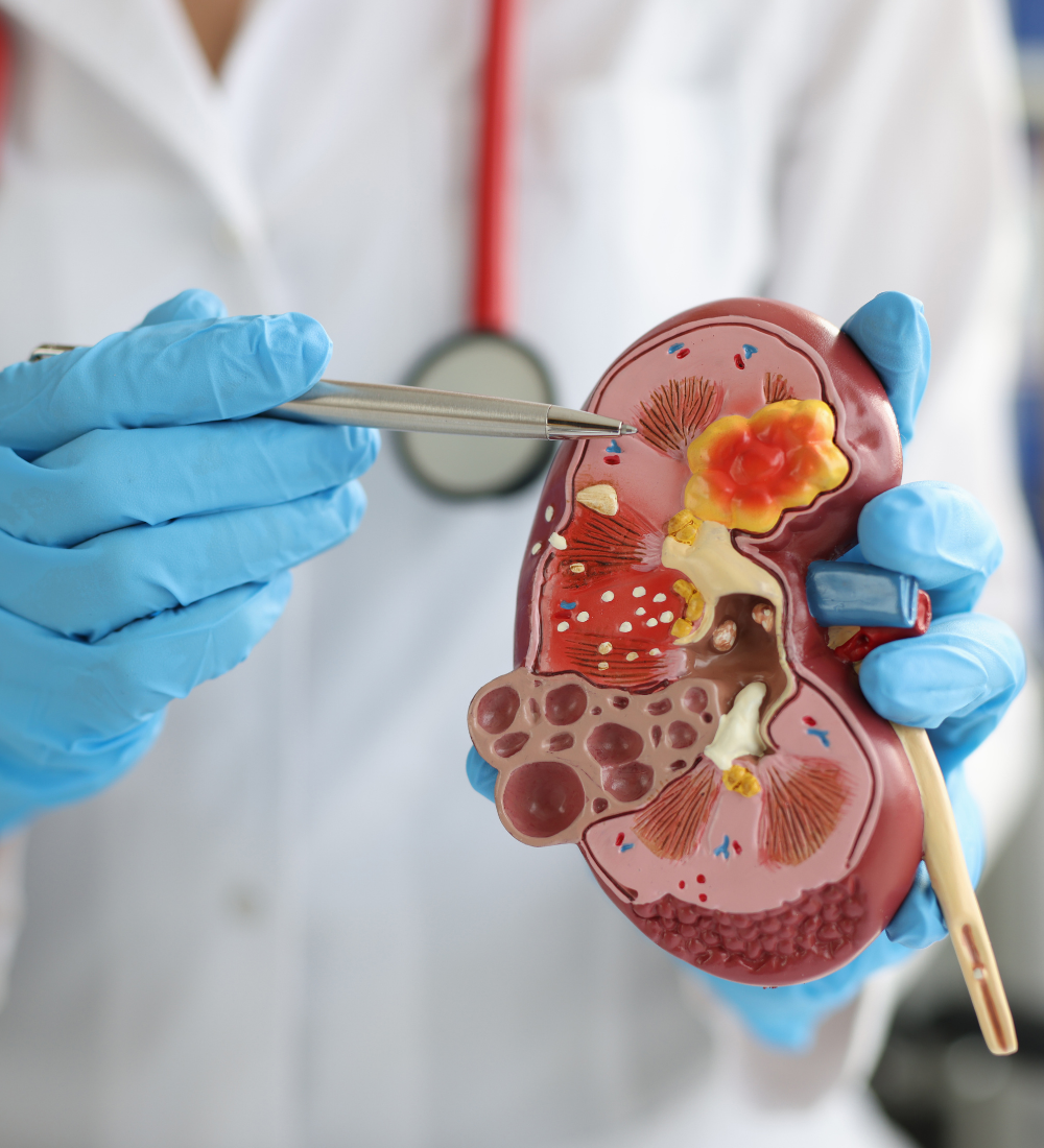 Urology